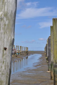 Wooden posts on beach against sky