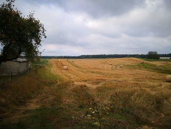 Scenic view of field against sky