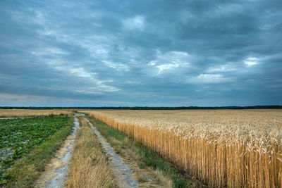 Empty road amidst agricultural field against sky