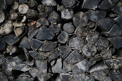 Full frame shot of logs