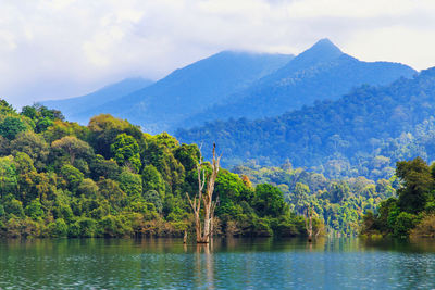 Scenic view of lake and mountains against sky