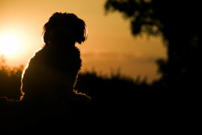 Silhouette person on horse against sky at sunset