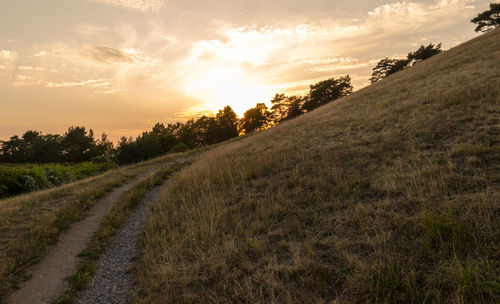 Pathway on field against sky during sunset