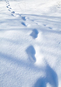 High angle view of footprints on snow field