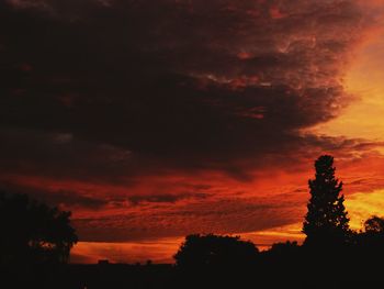 Silhouette trees against dramatic sky during sunset