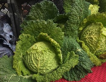 High angle view of vegetables