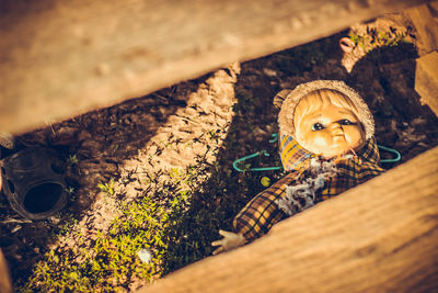 High angle view portrait of child on wood