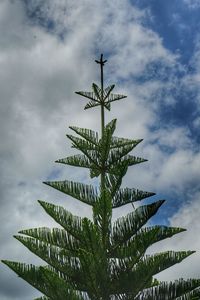 Low angle view of palm tree against sky