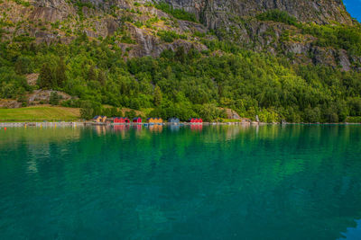 Scenic view of lake by trees in forest