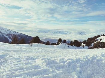 Snow covered land and trees against sky