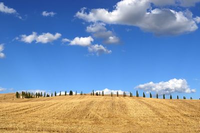 Panoramic view of agricultural field against sky