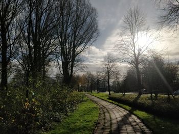 Bare trees on landscape against sky