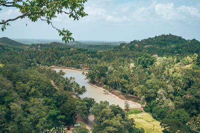 High angle view of trees and mountains against sky