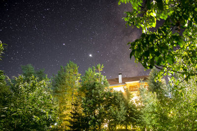 Low angle view of trees against sky at night