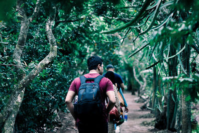 Rear view of men walking in forest