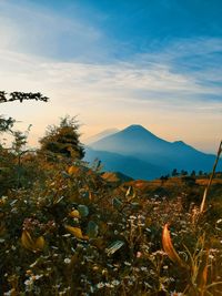 Scenic view of mountains against sky