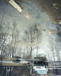 Cars by trees against sky