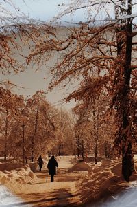 Rear view of people walking on snow covered trees