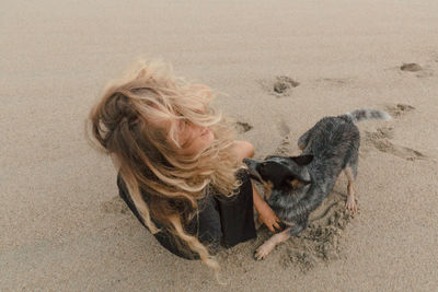 High angle view of dog on beach