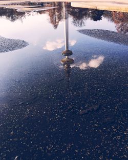 Reflection of trees in puddle