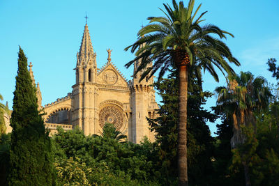 Palm trees by church against sky