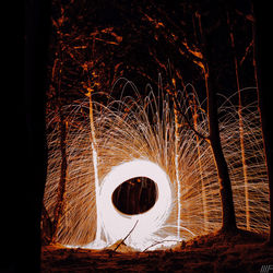 Light painting of trees at night