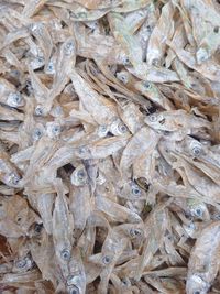 Full frame shot of fish for sale in market