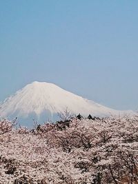 Scenic view of snowcapped mountain against sky