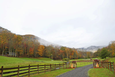 Scenic view of field against sky during autumn