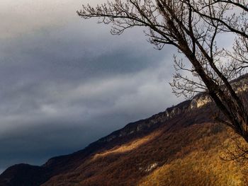 Low angle view of bare tree against sky