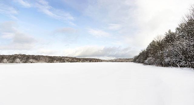 SNOW COVERED LAND AND TREES AGAINST SKY