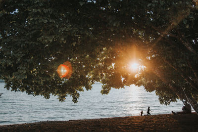 Silhouette people by trees at lakeshore