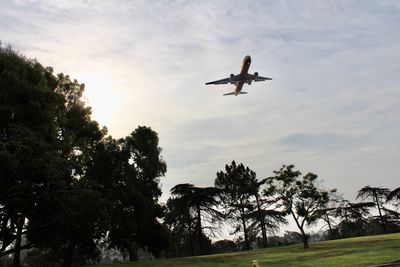 Low angle view of silhouette airplane against sky