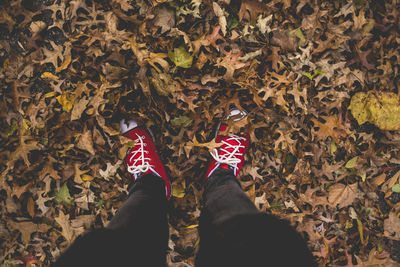 Low section of man standing on autumn leaves