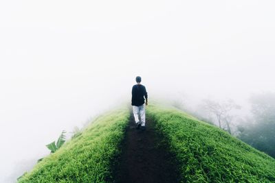 Rear view of man walking on dirt road amidst grass on hill during foggy weather