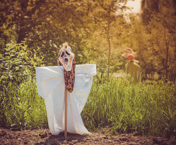 Scarecrows on farm