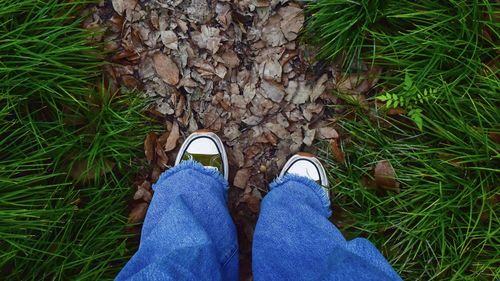 Low section of person standing on field