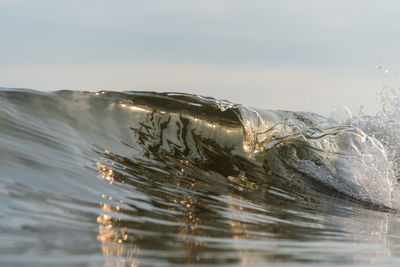 Man swimming in sea