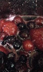 fruit