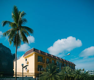 Low angle view of palm tree against sky
