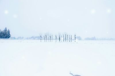 Scenic view of snow covered field