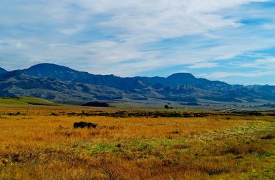 Scenic view of field against sky