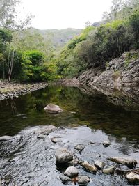 Scenic view of river flowing through rocks in forest