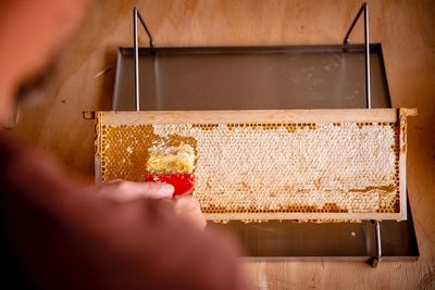 Close-up of person holding food