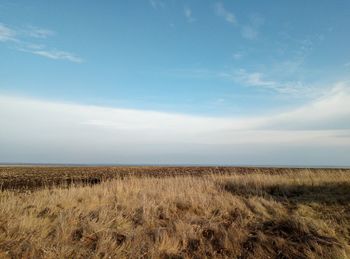 Scenic view of field against sky russia