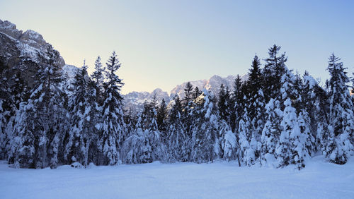 snow