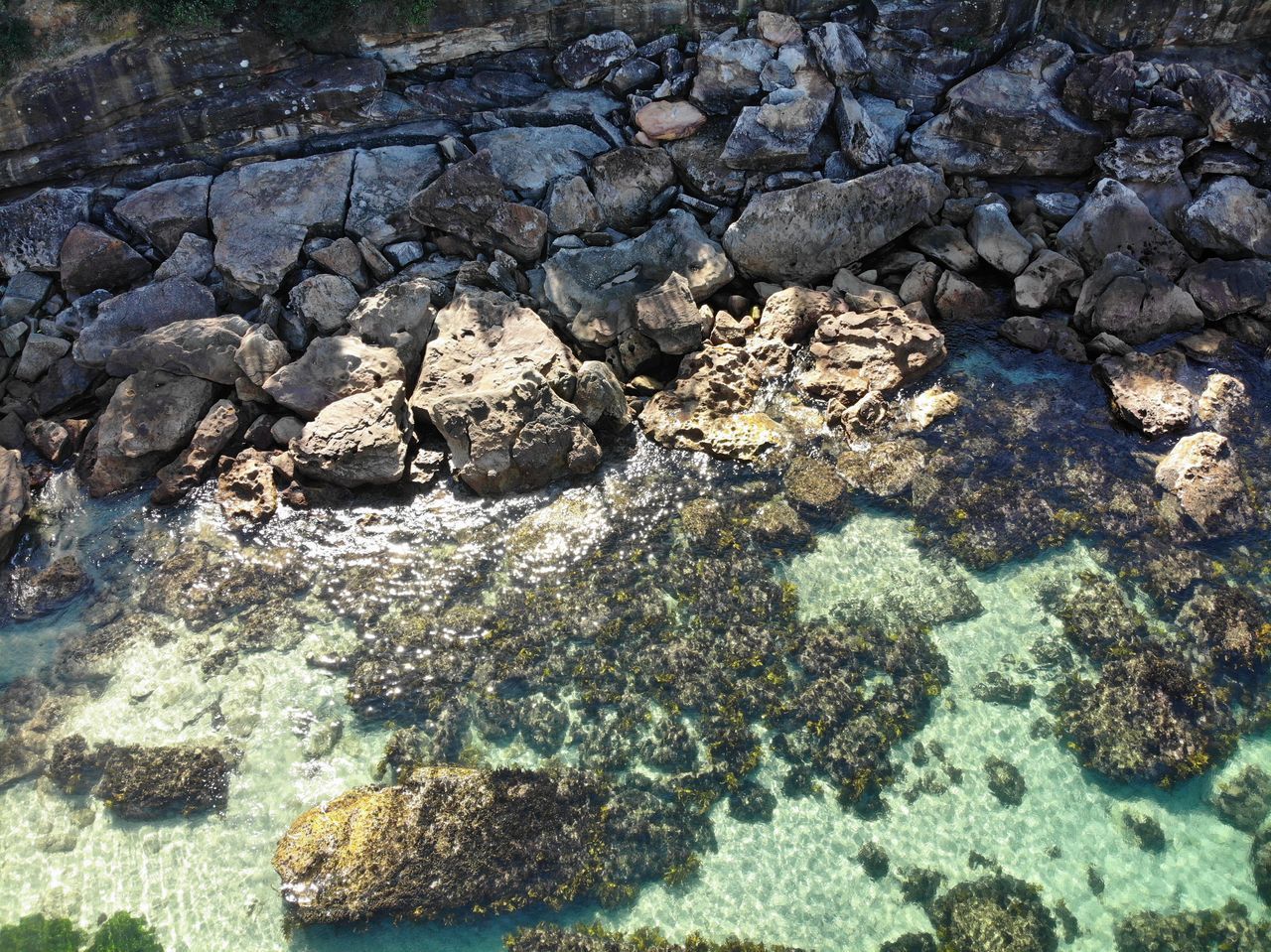 HIGH ANGLE VIEW OF STARFISH ON ROCK