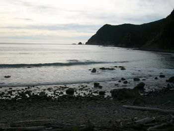 Scenic view of beach