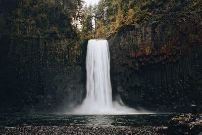 View of waterfall in forest