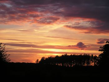 Silhouette trees against dramatic sky during sunset